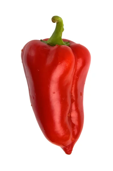 Röd paprica — Stockfoto