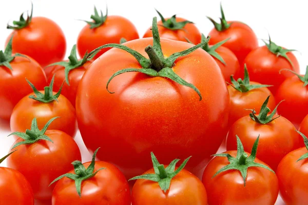 Uppsättning av tomater isolerad på vit Stockbild