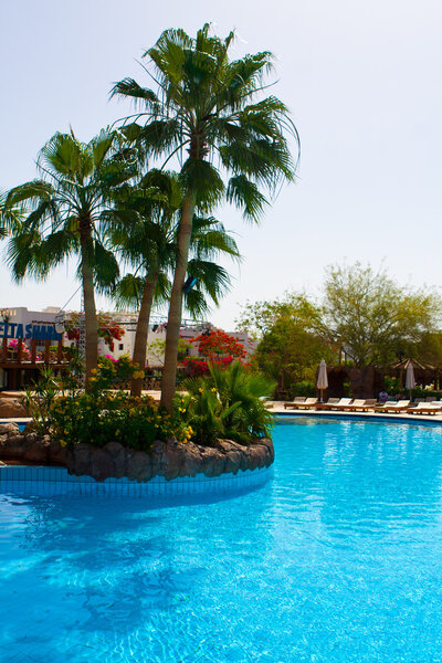 Resort with swimming pool and palm tree