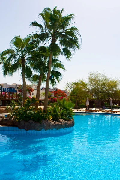 Resort mit Schwimmbad und Palme Stockfoto