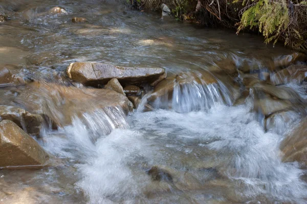 Mountain stream — Stock Photo, Image