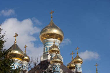 Ortodoks cupolas