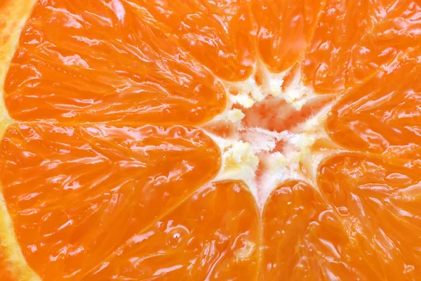 オレンジの柑橘系の果物のセクション — ストック写真