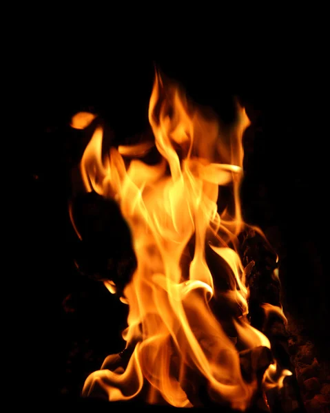 Bonfire flame — Stock Photo, Image