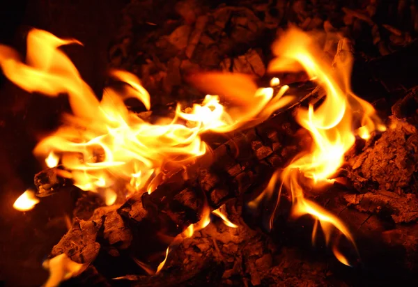 View in bonfire — Stock Photo, Image