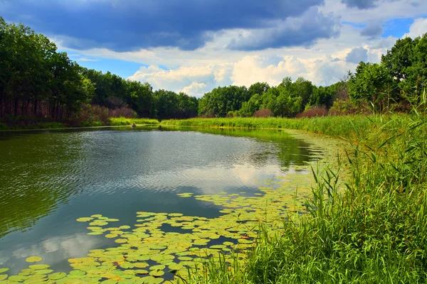 Sommerliche Seenlandschaft — Stockfoto