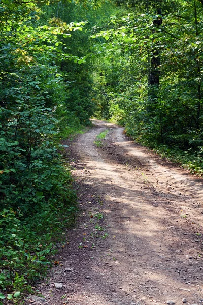 Landelijke weg in bos — Stockfoto