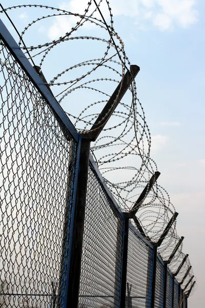 Забор с колючей проволокой — стоковое фото