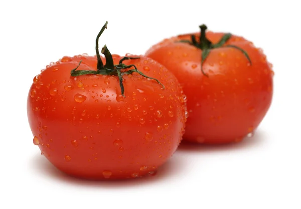 Dvě zralé rajče kapkami vody — Stock fotografie