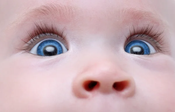 Yeux bleus bébé — Photo
