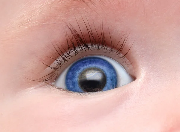 Olho azul bebê — Fotografia de Stock
