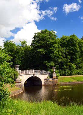 Bridge across pond in pavlovsk park clipart