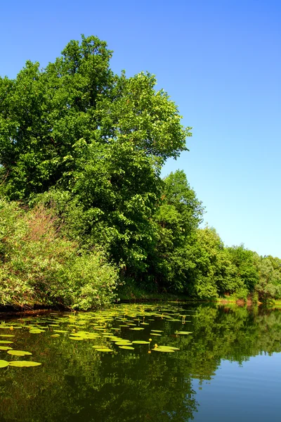 Skönhet sommaren sjön landskap — Stockfoto