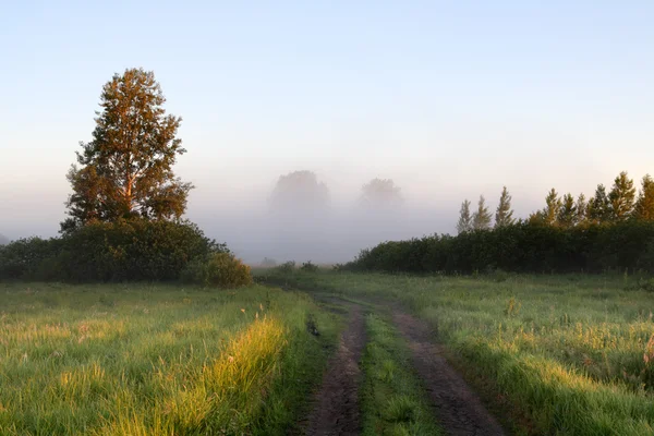 Landsbygdens rod leder till dimma — Stockfoto