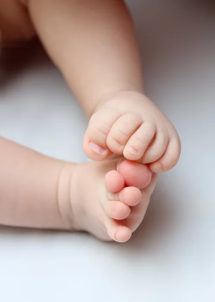 Móka a baba lábát zár-megjelöl — Stock Fotó