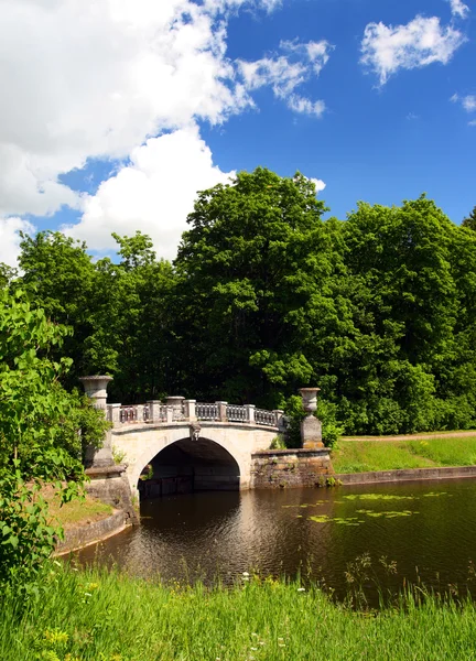 stock image Bridge across pond in pavlovsk park