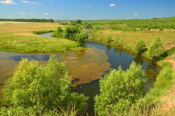 Панорамный пейзаж с прудом — стоковое фото