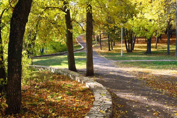 stock image Landscape in aurumn park