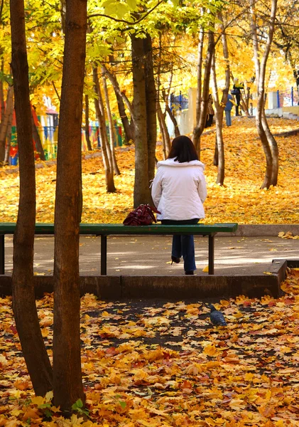 stock image Girl on bench in autumn park