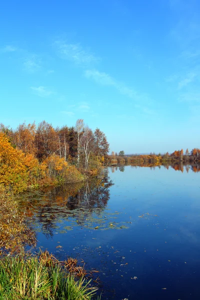 垂直方向の秋の湖の景色 — ストック写真