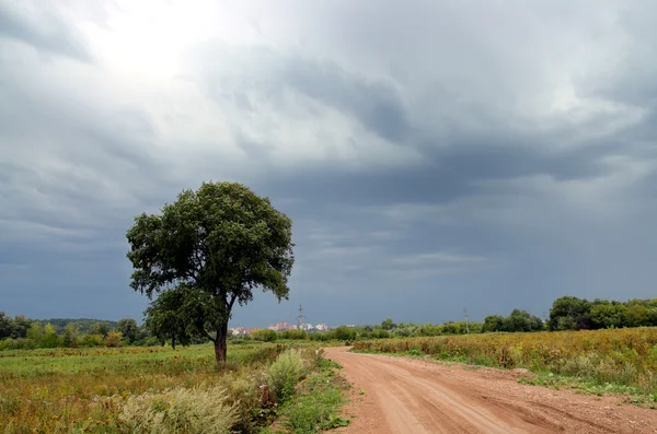 Estrada e árvore sob céu tempestuoso — Fotografia de Stock