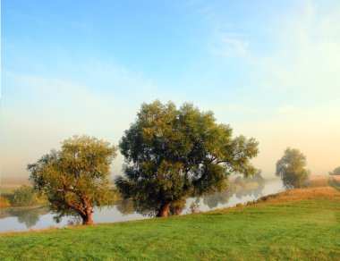 Lake landscape with trees in fog clipart