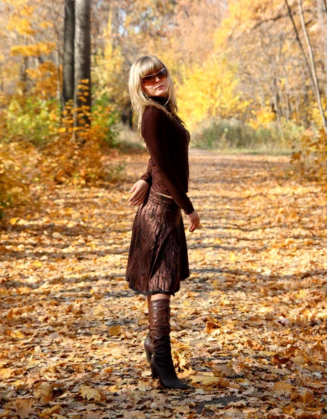 Dívka v podzimním parku — Stock fotografie