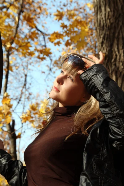 Beautiful girl on autumn background — Stock Photo, Image