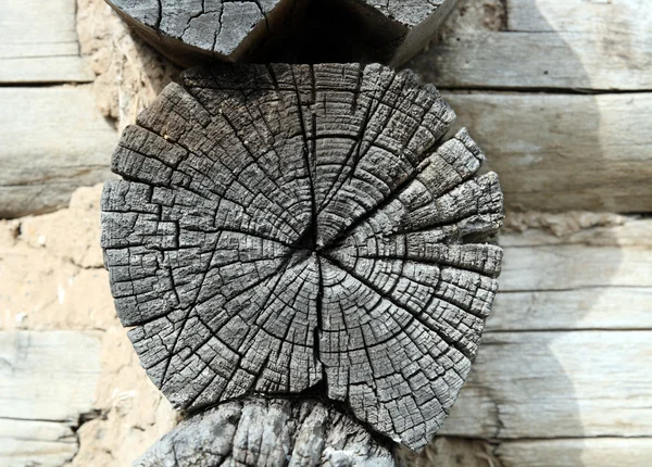 Gray wooden weathered timber — Stock Photo, Image