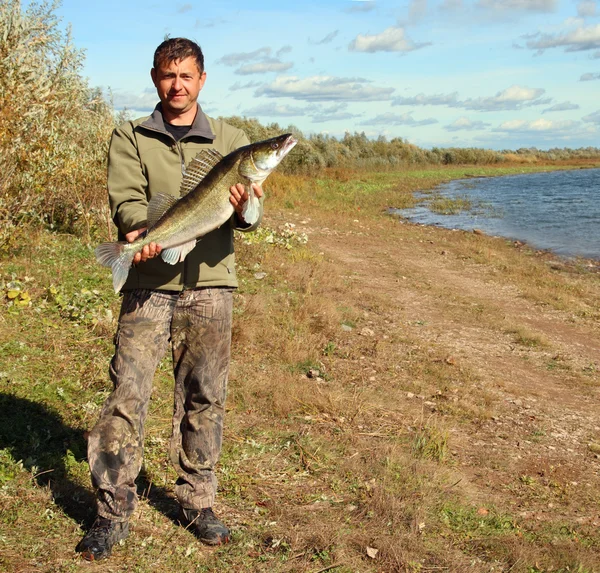 Hombre pescador con pez zander grande — Foto de Stock