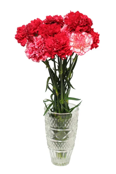 Buquê de flores de cravo em vaso — Fotografia de Stock
