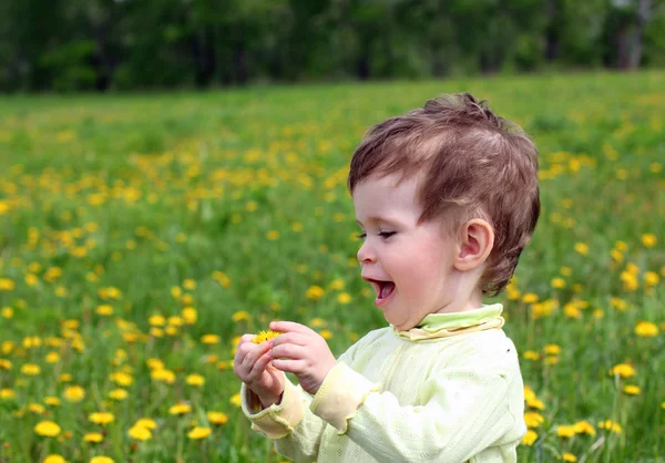 Baby girl on meadow — Stok fotoğraf