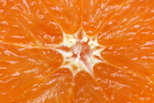 Orange citrus fruit section — Stock Photo, Image