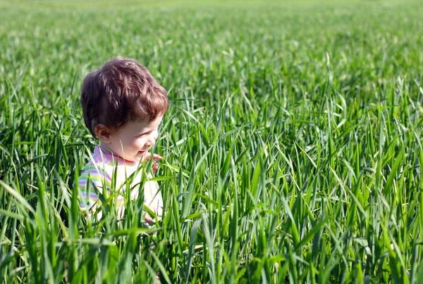 Baby in high green grass — Stock Photo, Image