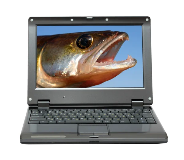 Küçük laptop balıkçılık Temalar — Stok fotoğraf