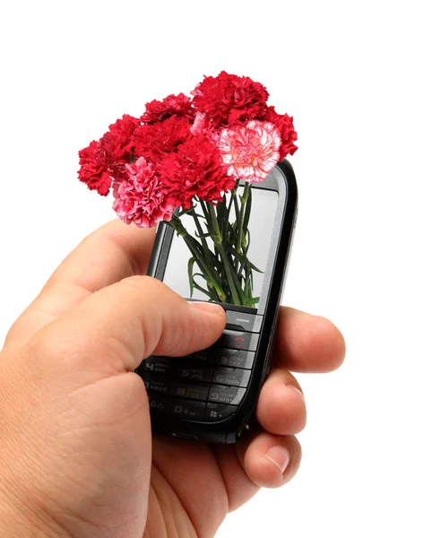 Cellulare in mano — Foto Stock