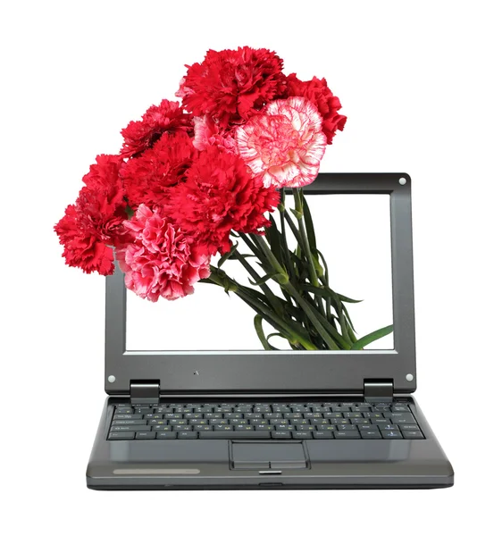 stock image Laptop with carnations bouquet