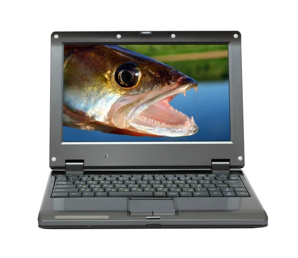 Kis laptop-a halászati témák — Stock Fotó