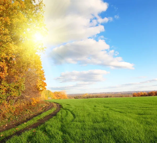 Sonbahar manzarası ile yeşil alan — Stok fotoğraf