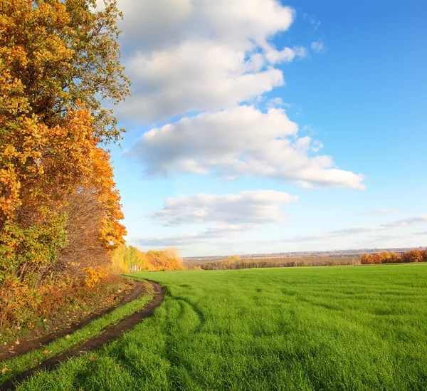 Осенний пейзаж с зеленым полем — стоковое фото