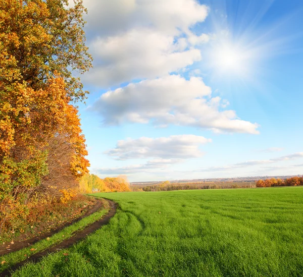 Herfst landschap met groene veld — Stockfoto