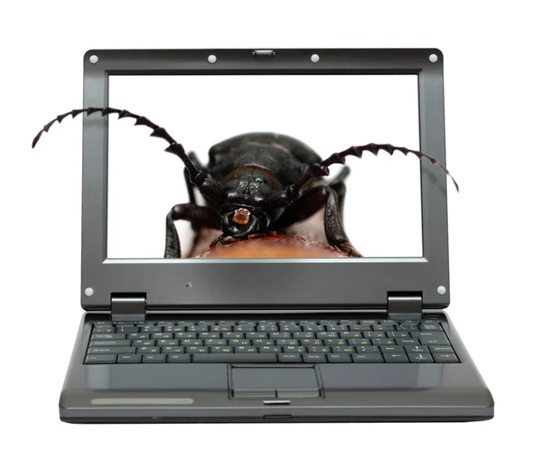 Laptop z worka w oprogramowanie metafora — Zdjęcie stockowe