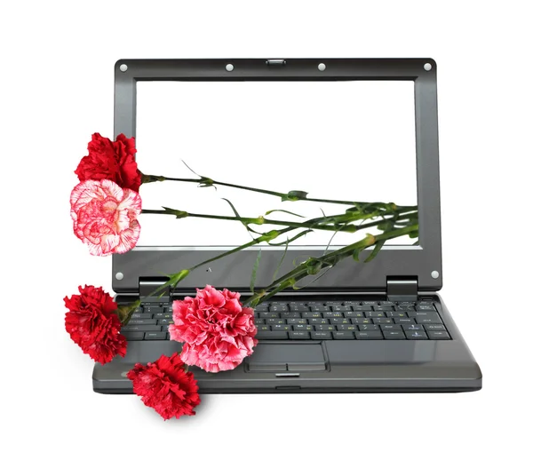 Laptop with carnations bouquet — Stock Photo, Image