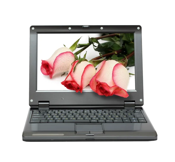 Laptop com buquê de rosas — Fotografia de Stock