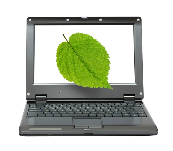 Laptop mit grünem Blatt — Stockfoto