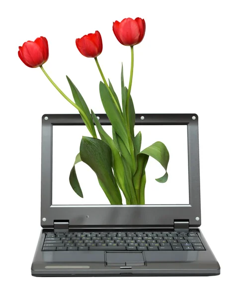 Laptop con bouquet di tulipani — Foto Stock