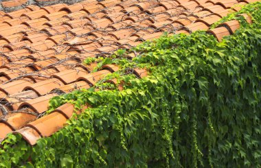 Red tile roof clipart