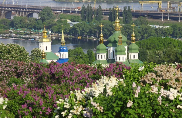 Kijevi botanikus kert, a tavasz — Stock Fotó