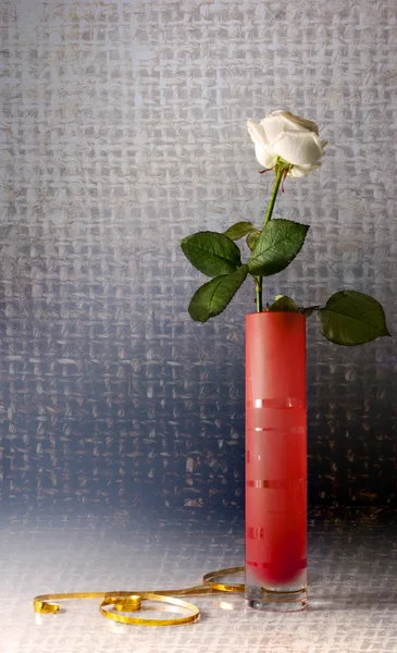 Bodegón con una rosa blanca —  Fotos de Stock