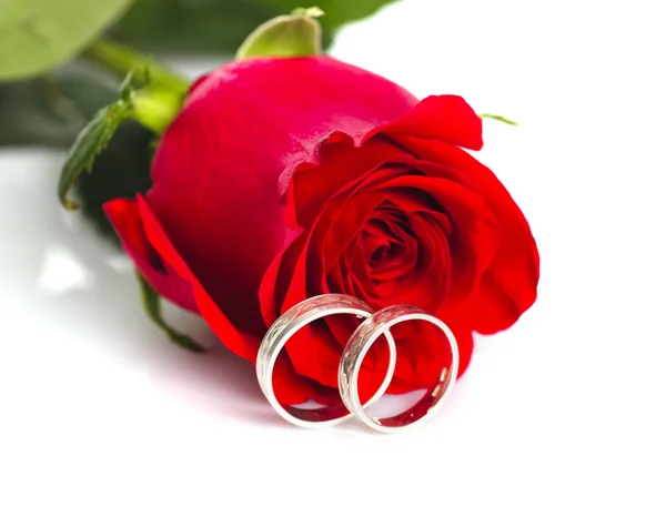 Red rose with silver rings — Stock Photo, Image